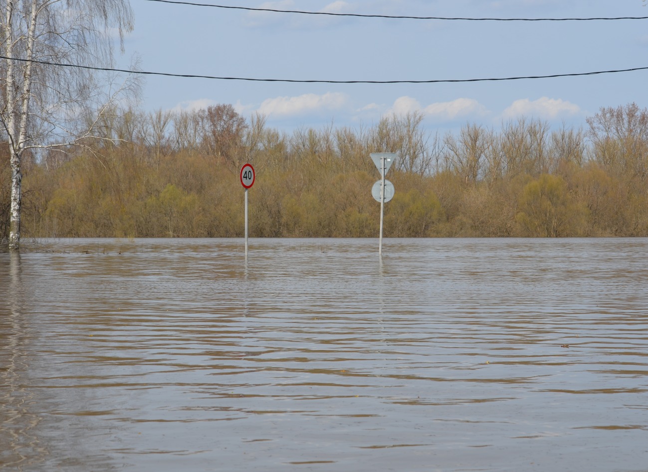 Уровень воды в Оке продолжил опускаться в Рязани и расти в Касимове