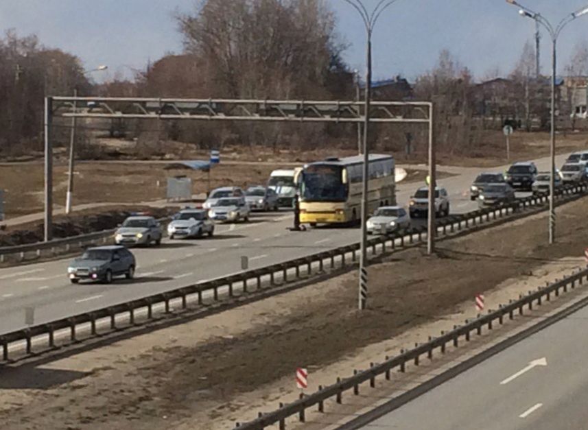 Автобус Москва-Рязань насмерть сбил пешехода