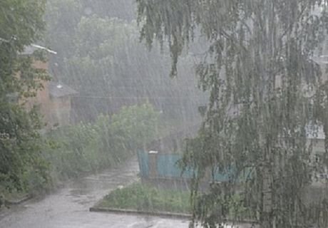 В понедельник в Рязанскую область придут дожди