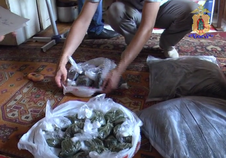 В Рязани полицейские изъяли у узбека 31 кг насвая