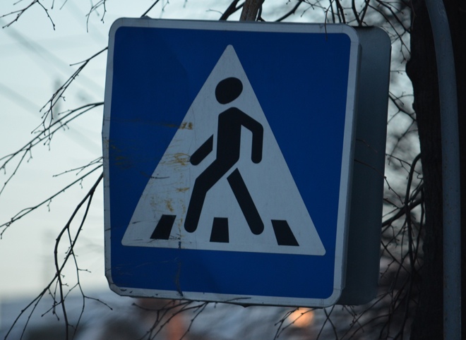 В Рязани за 2,5 месяца погибли девять пешеходов