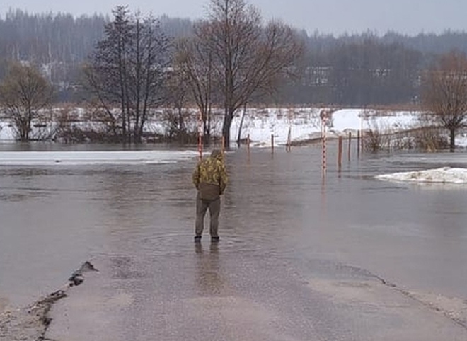 В Сапожковском районе подтопило три моста