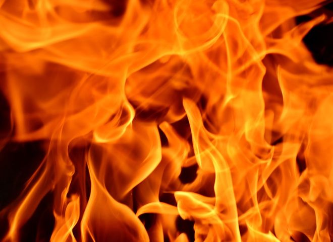 На пожаре в Рязанской области спасли троих детей