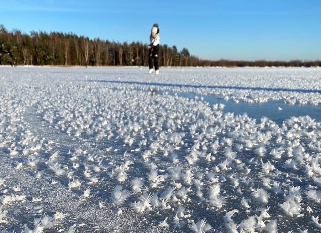 Ласковское озеро под Рязанью покрылось ледяными «цветами»
