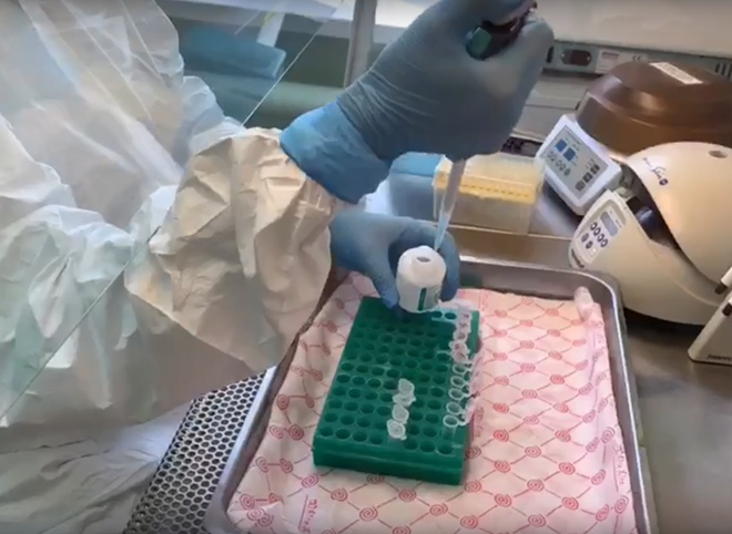 В Рязанском кожвендиспансере показали, как исследуются анализы на коронавирус