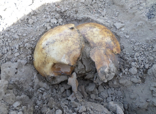 Некрополь, обнаруженный в центре Рязани, разрыли