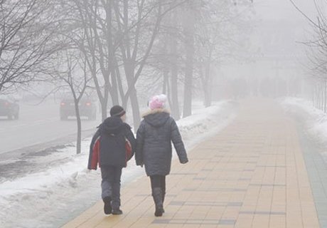 29 февраля в Рязани ожидается туман и гололедица
