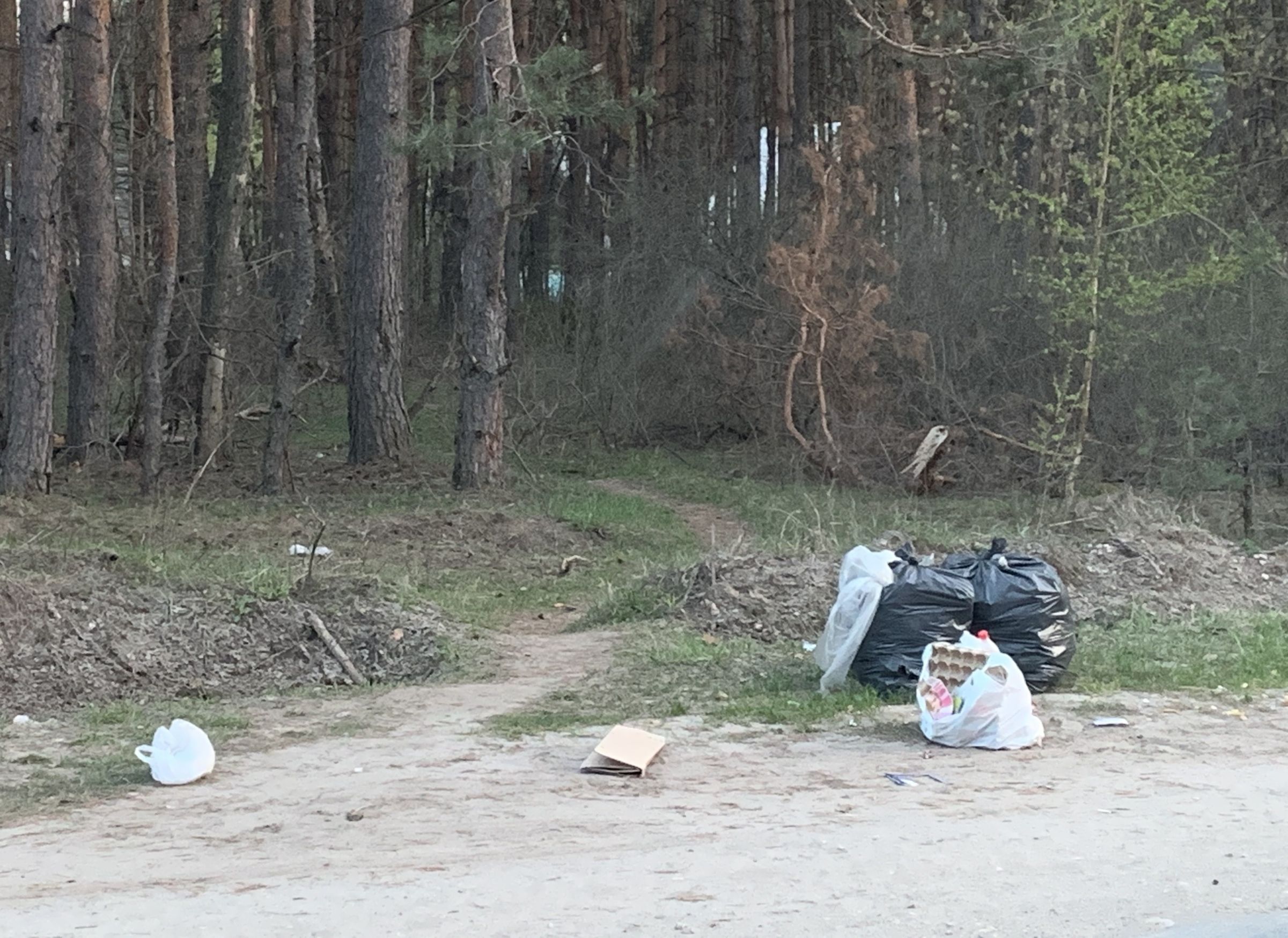 Чиновники минприроды провели субботник в Солотче и оставили мусор вдоль обочин