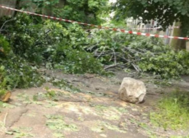 В Рязани устраняют последствия субботнего урагана