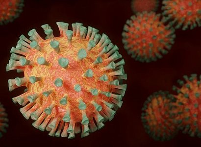 В Рязанской области зафиксировано еще 133 случая заражения коронавирусом