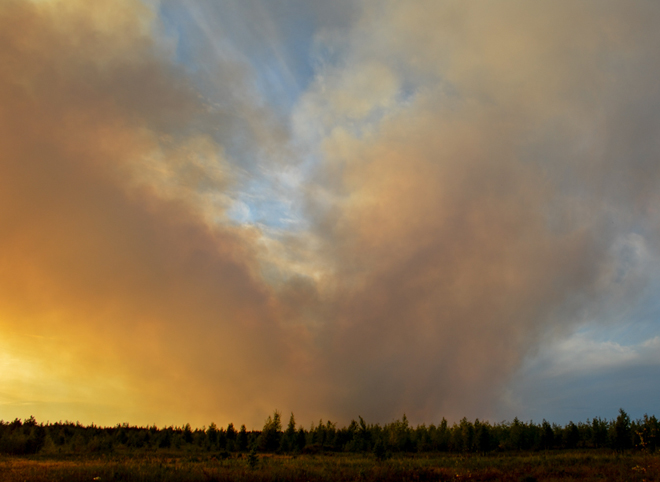 Лесной пожар в Рыбновском районе ликвидирован