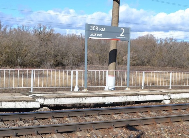 В Рязанской области поезд насмерть сбил женщину