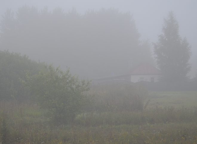 МЧС: туман в Рязанской области сохранится