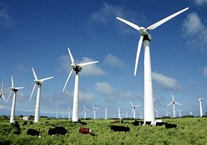 Почти 40% электроэнергии Дания получила за счет «ветряков»