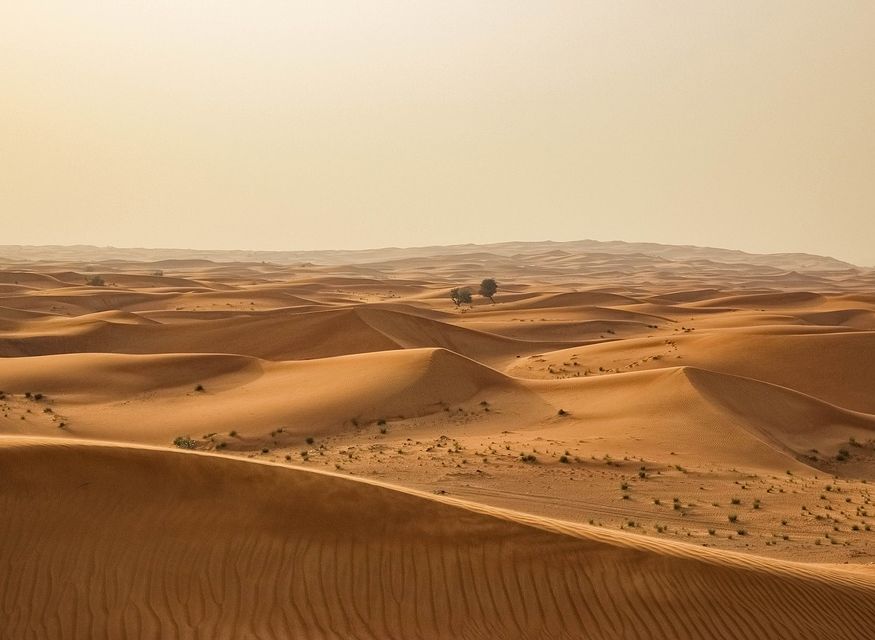 Ученые обнаружили в Сахаре следы неизвестной цивилизации