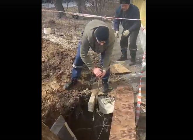 В Рязани спасатели достали бездомную собаку из котлована, наполненного водой