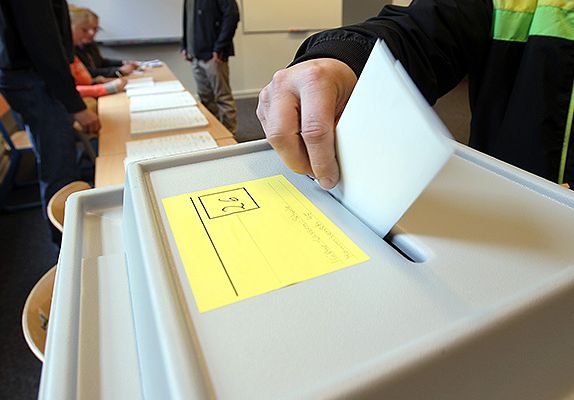 К полудню в Рязанской области проголосовали 15% избирателей