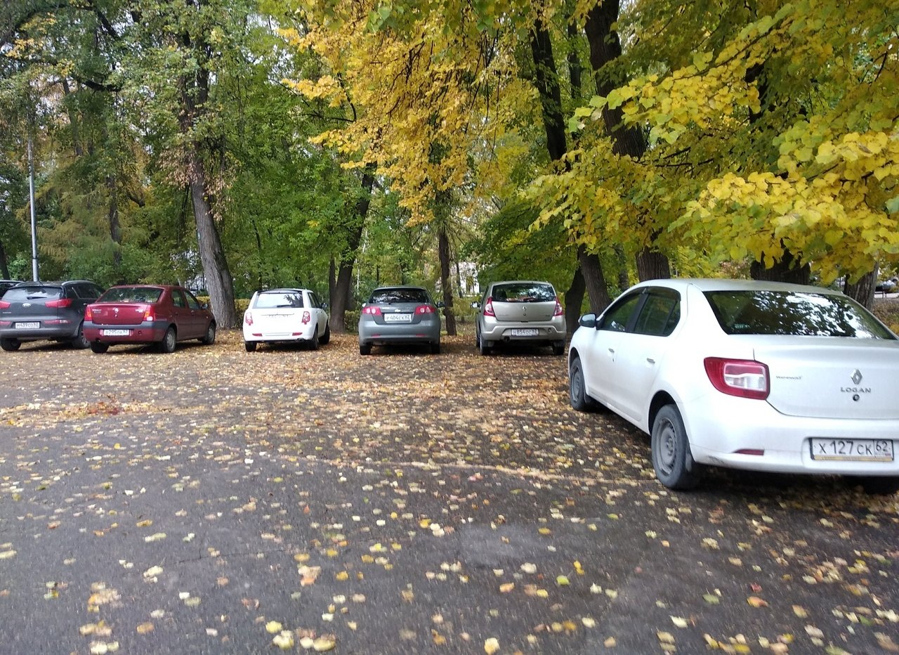 Фото: парк в центре Рязани превратили в паркинг