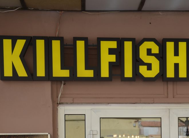 В московском баре Killfish погибла участница конкурса по поеданию пирожных