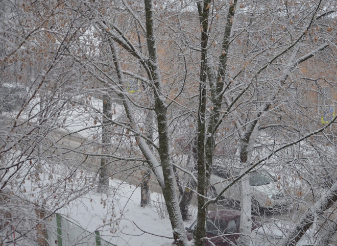 В пятницу в Рязанской области потеплеет до -1 °С