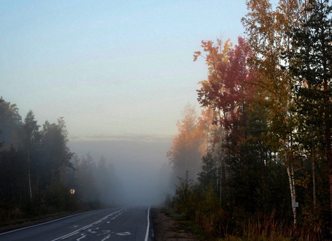 В Рязанской области ожидается туман и гололедица