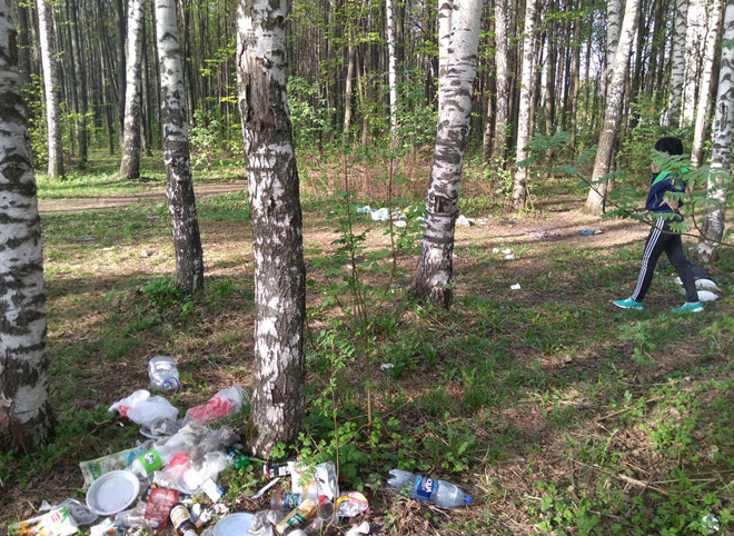 На Московском шоссе образовались залежи мусора