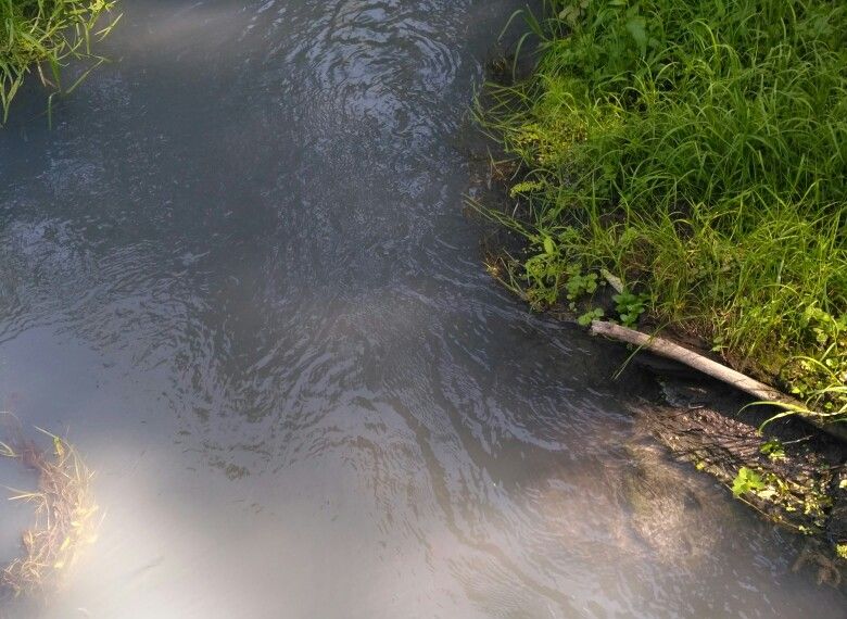 Соцсети: в Рязанской области неизвестные отравили реку
