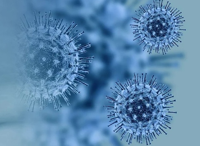 В Рязанской области за сутки выявлено 74 случая заражения коронавирусом