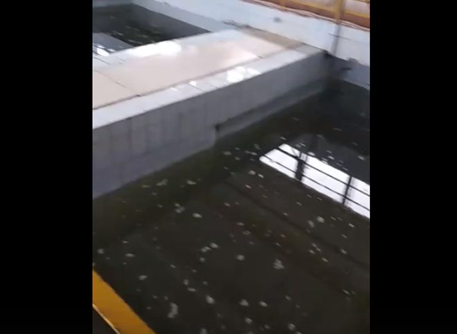 Видео: из-за «рыбного запаха» воды рязанцы пришли на Окскую очистную станцию
