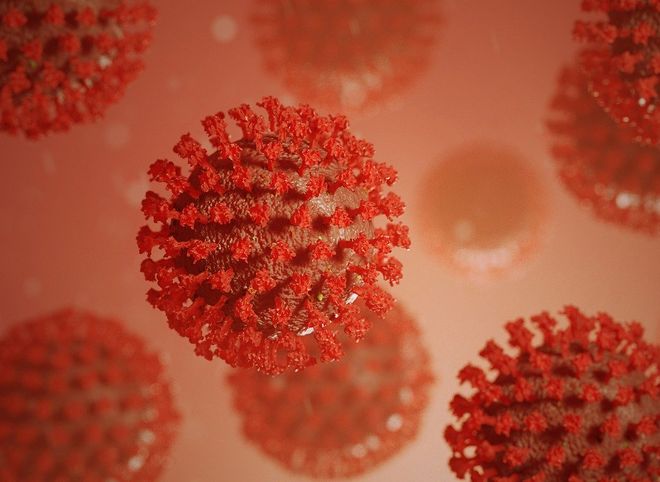 В Рязанской области за сутки от коронавируса излечились 26 человек