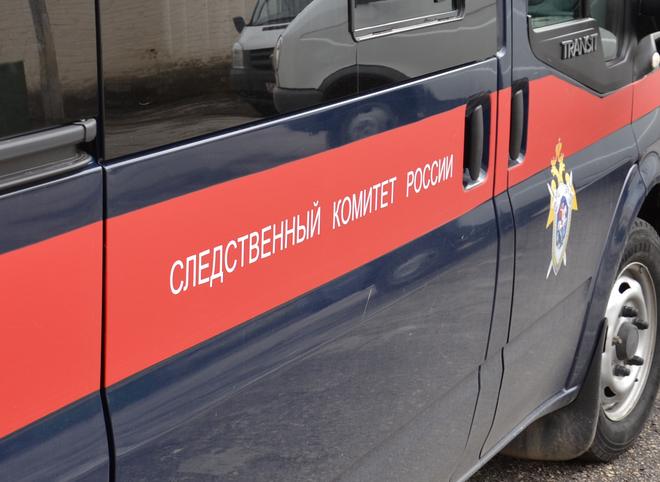 На детской площадке в Санкт-Петербурге найдено тело 10-летней школьницы