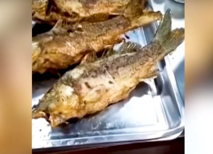 В Китае выпотрошенная и зажаренная рыба начала дергаться (видео)