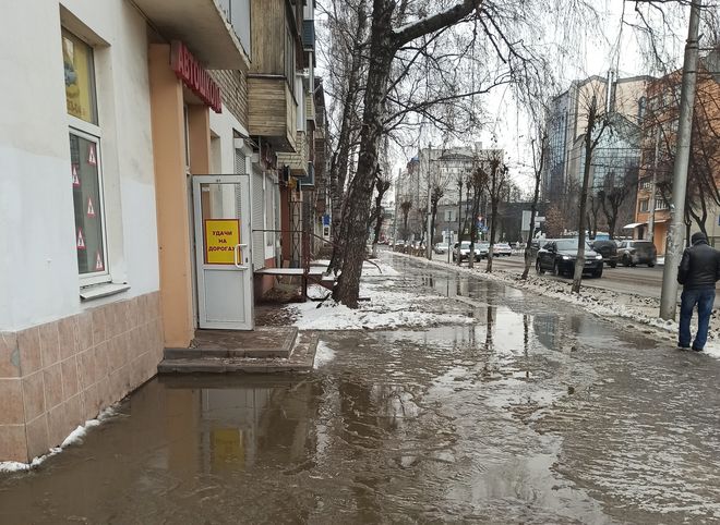 Работы по устранению «зеленого потопа» в центре Рязани завершены