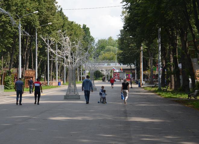 В Рязани выбрали четыре парка для благоустройства