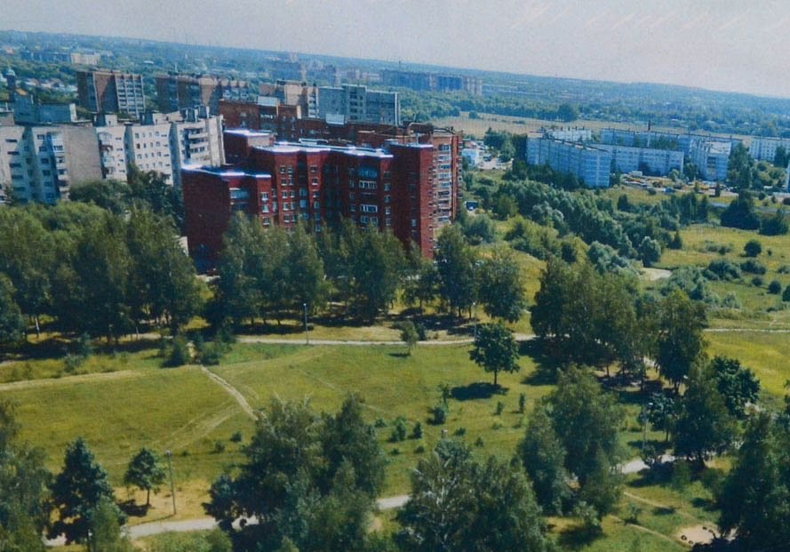 Всю территорию Комсомольского парка перевели в зеленую зону