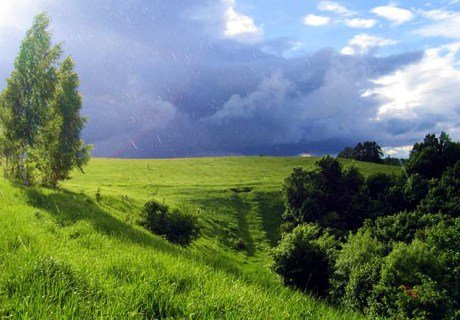 Сегодня в Рязанской области ожидается дождь с грозой
