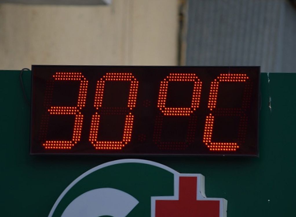 Рязанское МЧС предупредило о жаре в ближайшие дни