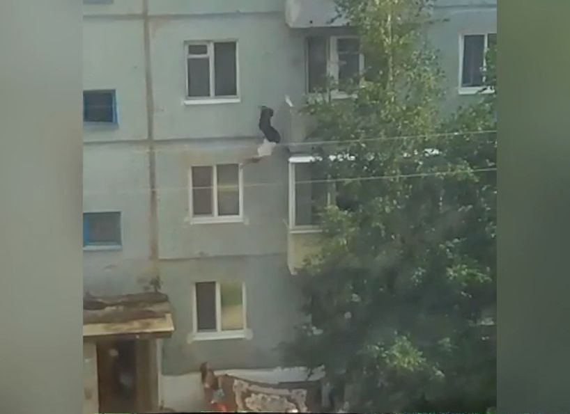 В Амурской области мужчина упал с четвертого этажа, спасая кота