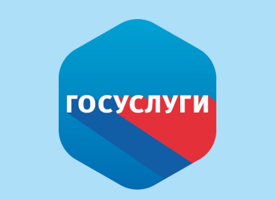 В России предложили давать доступ к порносайтам через сайт госуслуг