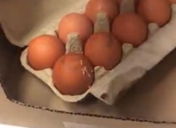 Рязанка обнаружила в «Дикси» яйца с червями (видео)