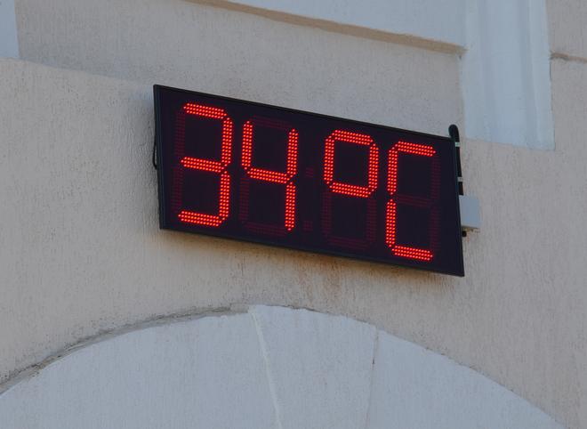 Рязанские синоптики предупредили жителей региона о 30-градусной жаре