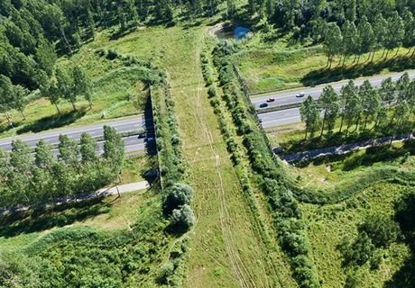 Первый в РФ экодук построят в Калужской области
