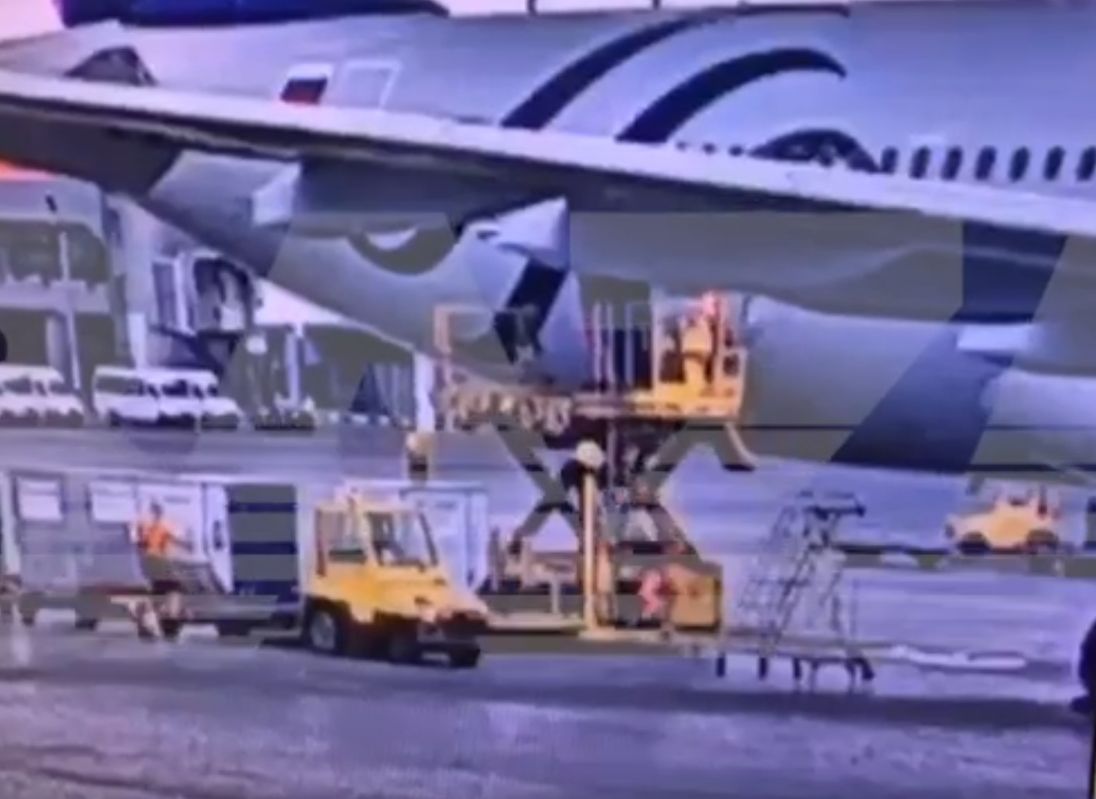 Грузчик аэропорта Шереметьево впал в кому, поскользнувшись при погрузке багажа (видео)