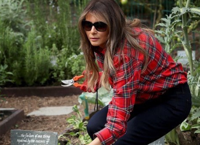Меланию Трамп высмеяли в соцсети за позы в огороде Белого дома