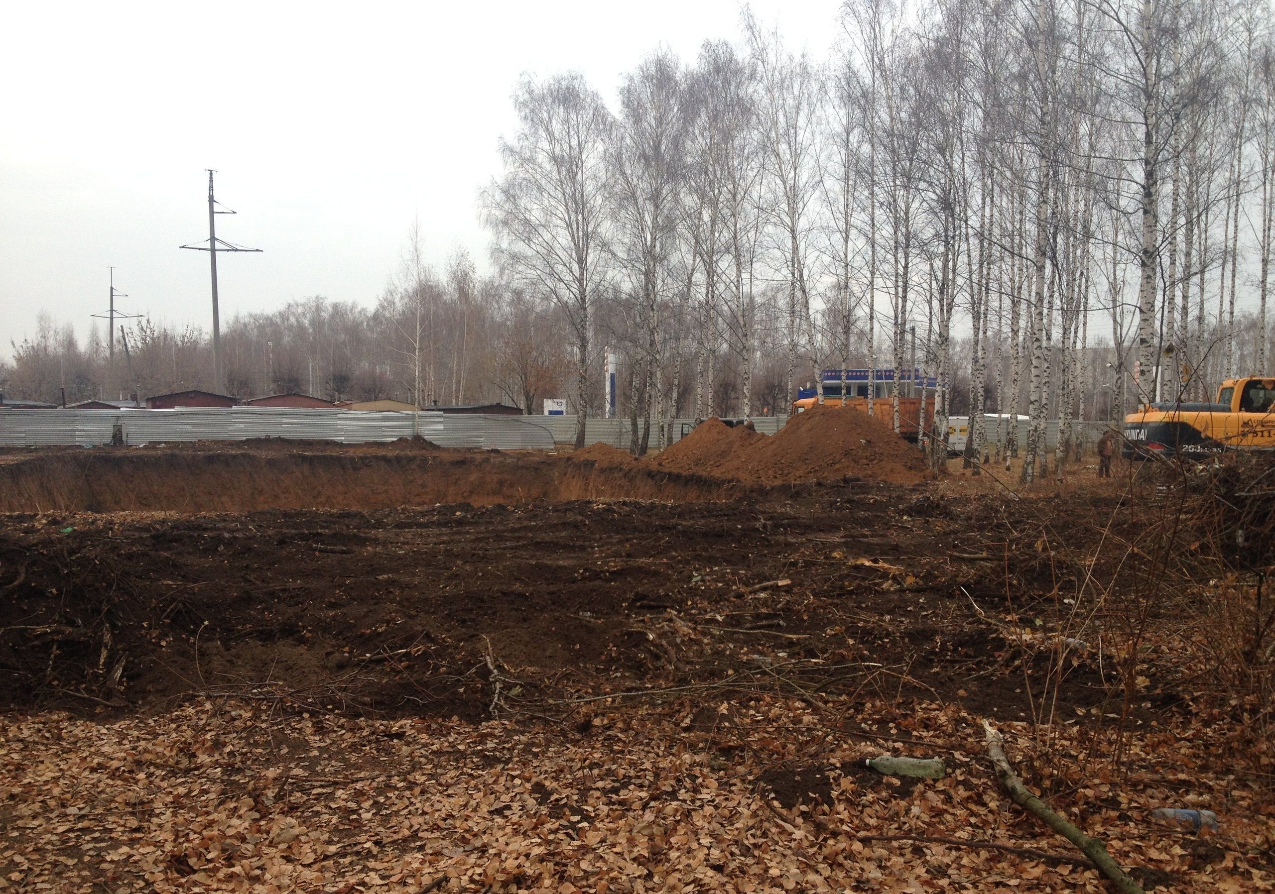 В Рязани застройщик заплатит за вырубку деревьев 3,2 млн