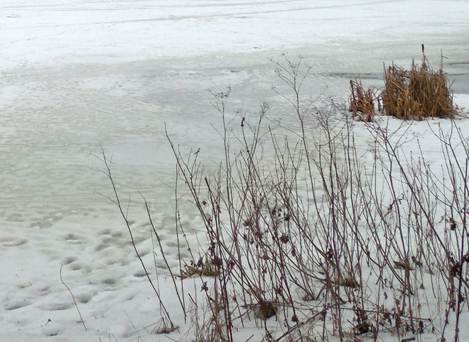 В Рязанской области во время рыбалки утонула женщина