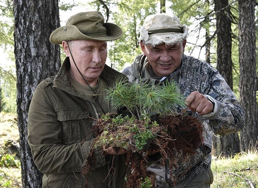 Песков о безопасности Путина в Туве: медведь не дурак – будет вести себя прилично