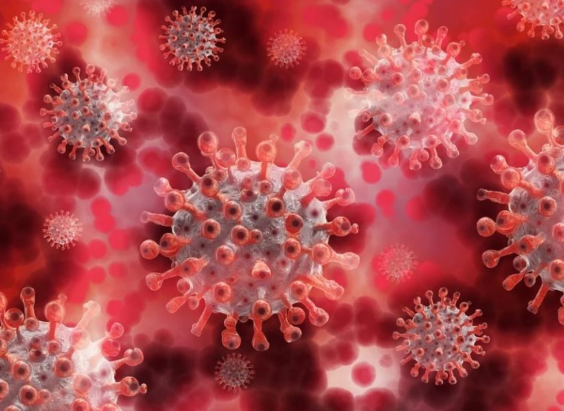 Ученые нашли людей с особой защитой от коронавируса