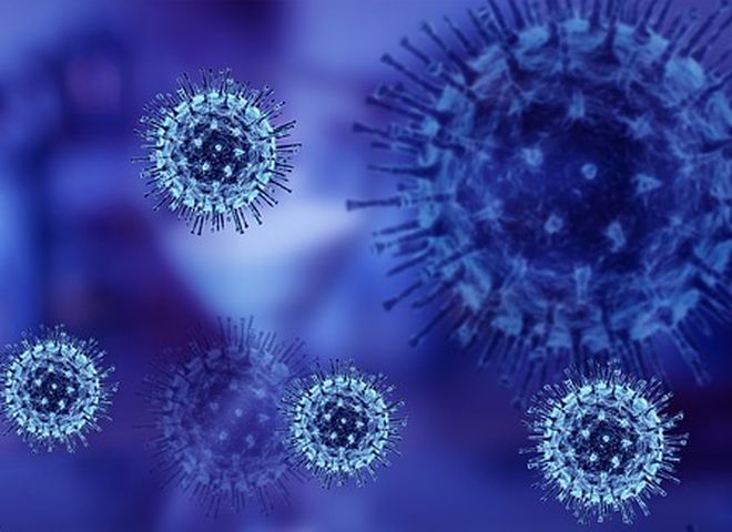 Число жертв коронавируса в Рязанской области достигло 55