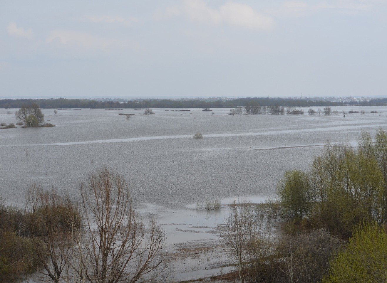 Ока в Рязани поднялась более чем на 5,5 м | 07.04.2024 | Рязань - БезФормата